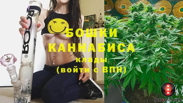 сатива Пенза