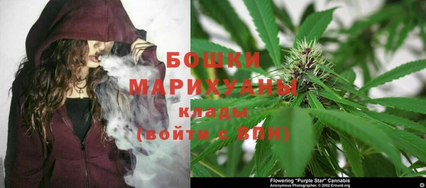 спиды Горняк